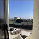 바당쿰다 이미지