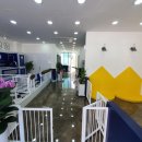 올리스24셀프목욕 이미지