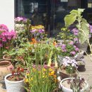 진영자이아파트 이미지