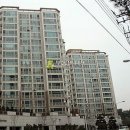 미룡로 Daum카페