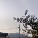 더스테이&도트 | 연천펜션 [더스테이&amp;도트] 애견동반으로 편하게 쉬고 온 펜션 후기 🐶🌿