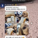 230425(화) 아이들 소식💞💞💞 이미지