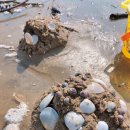 당암바다민박 이미지