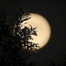 더블루문 - 수성구 | 더블루문