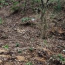 봉산부화장 이미지