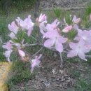 거운농장 이미지