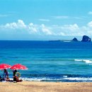 바다의 향기 이미지