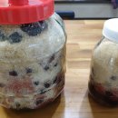 차령농장 이미지