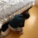 제이원빌리지 | 진주 펜션 글램핑 추천 제이원빌리지 솔직 후기