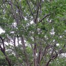 김진철농장 이미지