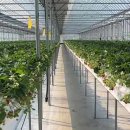 하늘농장4 이미지