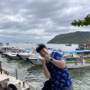 제주골드 민박 | 베트남 나트랑 4박 5일(3박 5일) 혼자 무계획 일정 및 비용 총 정리