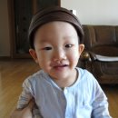 예쁜댕 이미지