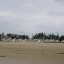 금일해당화해변 이미지