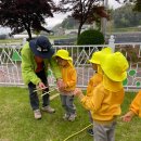 죽리초등학교(병설유치원) 이미지