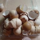난각칼슘 만들기 - 계란껍질로 천연칼슘제 만들기......| 이미지