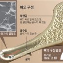 관절-척추 병원 갈 일 없다 이미지