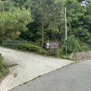 [충주 가볼 말한 곳] 충주호 뷰 좋은 애견 동반 대형카페 &#34;호수가 아름다운 전망대&#34;