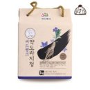 씨드 뱅크