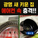 시청로 138번길 이미지
