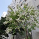 신성21공인중개사사무소 이미지