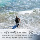아름다운바다