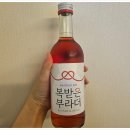 [복받은부라더] GS편의점에서 발견한 새로운 과실주 후기