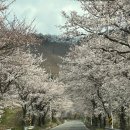 [성엔지니어링] 2024 성엔지니어링 봄 워크숍 후기!💚 (청주 동보원 자연휴양림)