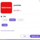 유튜브 프리미엄 가족 그룹 DOLOFFER 돌오퍼 추천 및 실제 사용 후기 정리