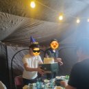 코이스테이 이미지