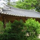 상주 황령사 아미타후불탱 Daum카페