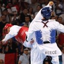 햇살태권도 이미지