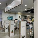 이마트 광명소하점 몰리스펫샵 이미지