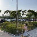 전라북도청 농구장 이미지