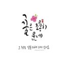 캘리그라피 이미지