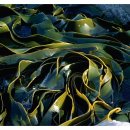 해조한의원 이미지