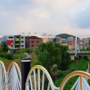가마치통닭대전 - 중구 대종로 293 | 가마치통닭대전
