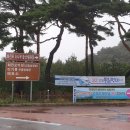 거진활어회센터 이미지