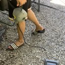 송진주유소 이미지