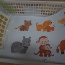 그림책 읽어주는 동물병원 이미지