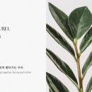 고강빌딩 | [웨딩] 종로 웨딩밴드/웨딩링 투어 '소린주얼리' 투어 후기 및 주차 (요놈이다!)