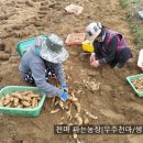 재선농장 이미지