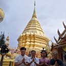 머물다 주도 이미지