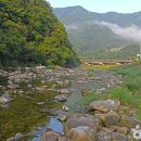 인제 들꽃펜션 이미지