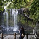 천제연폭포 이미지