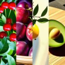 정성환짜글이찌개 이미지