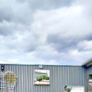 감꽃펜션 이미지