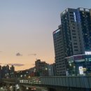 메타한방병원 | 39. 서면 메타한방병원 침 치료(야간진료) 후기