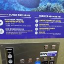 서울아현초등학교 | 마포 산전운동 산후운동 전문적인 곳에서, 마더핏 체험 후기