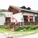 봄의언덕 이미지